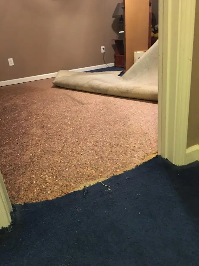 Carpet pad removal revealing water damage during Drying & Dehumidification in Bostonia