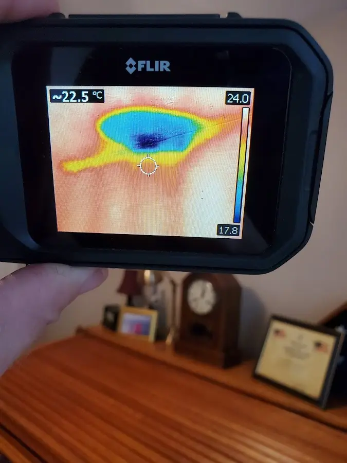 Thermal imaging inspection for water damage in Bostonia